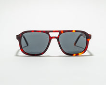 Load image into Gallery viewer, Ziggy