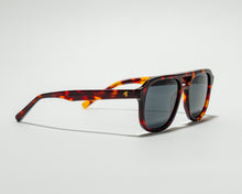 Load image into Gallery viewer, Ziggy