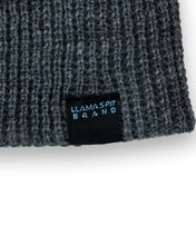 Load image into Gallery viewer, Standard Beanie